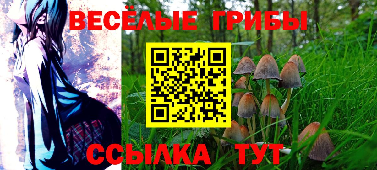 Томск  Галлюциногенные грибы мицелий  Вход с VPN 