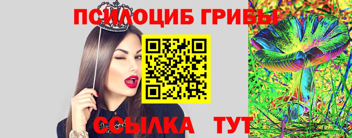 Галлюциногенные грибы MAGIC MUSHROOMS Томск